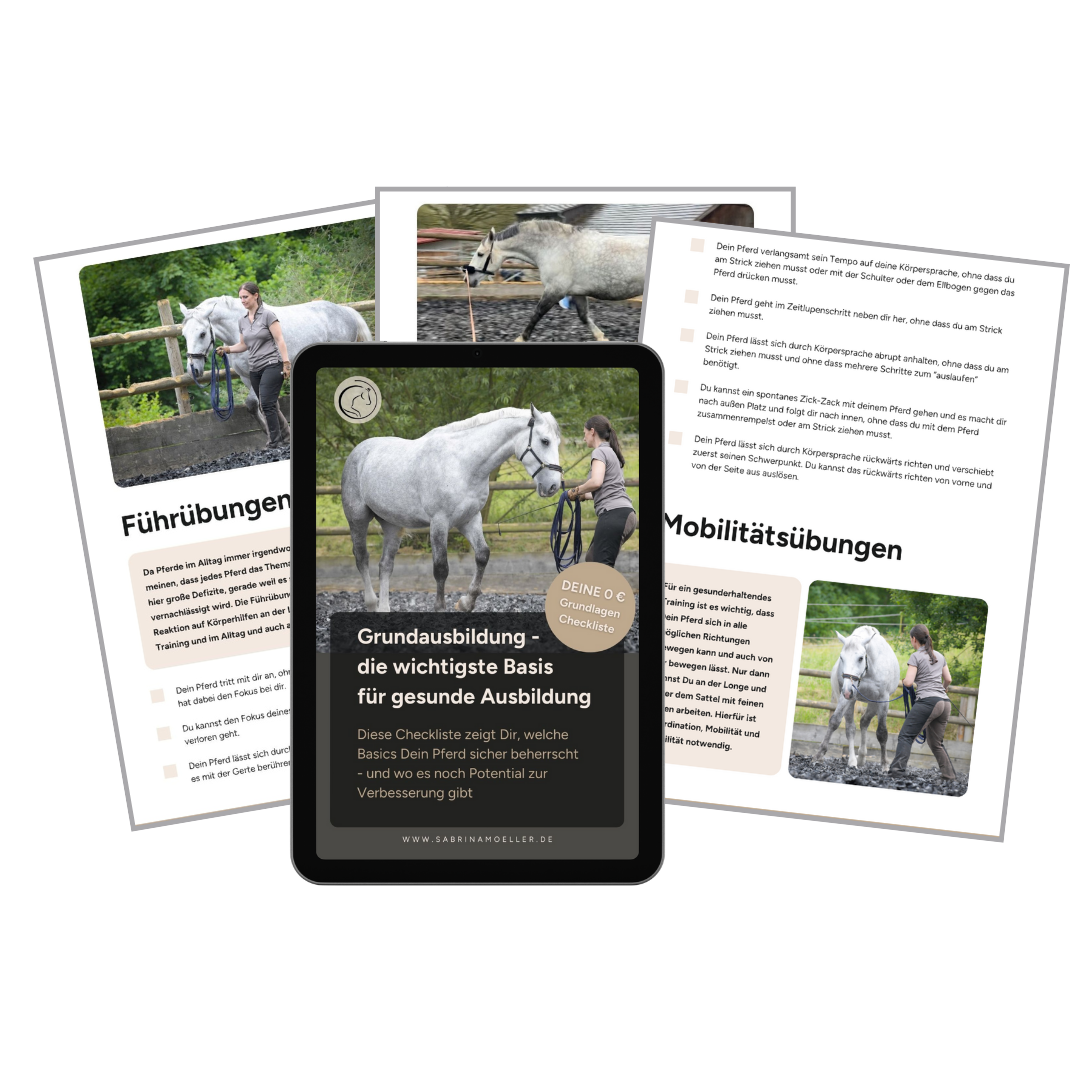 Mockup Grundlagen-Checkliste