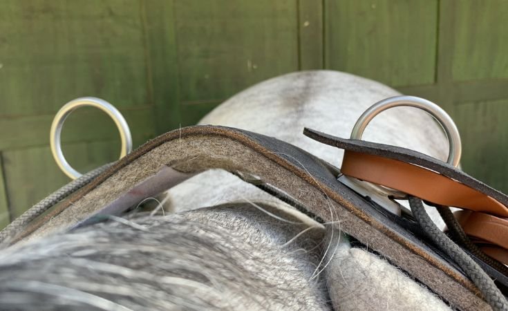 Doppellonge-Ausrüstung-Longiergurt-Leinenaugen