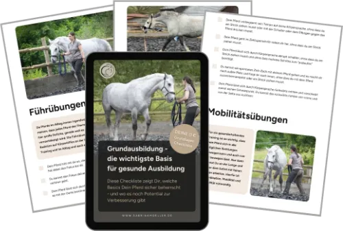 Grundausbildung
