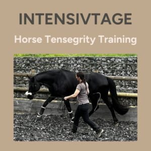 Intensivtage - Einführung Horse Tensegrity Training 25. - 27.06.2025