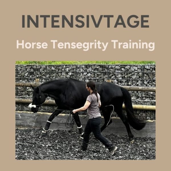 Intensivtage - Einführung Horse Tensegrity Training 25. - 27.06.2025