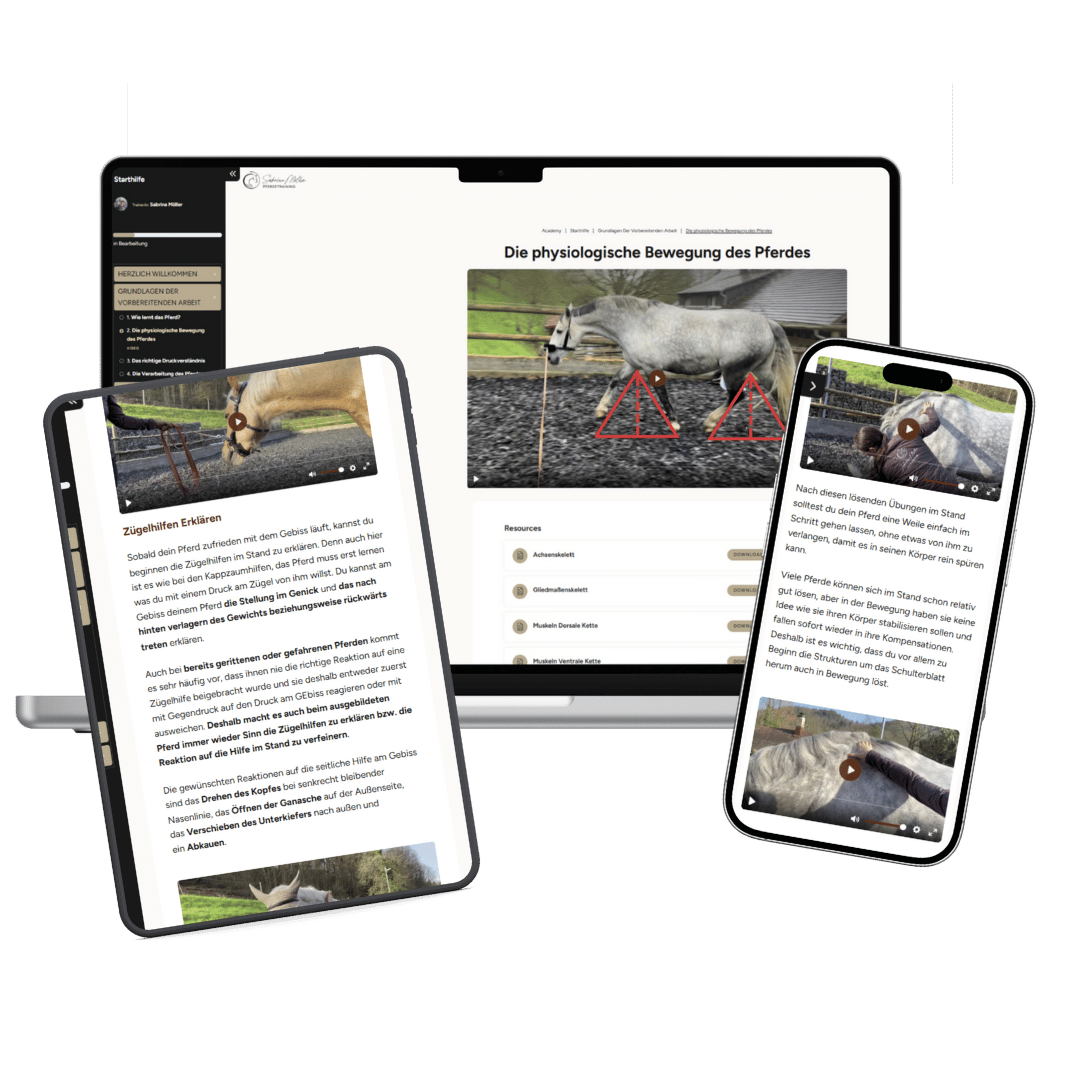 Onlinekurs "Starthilfe"