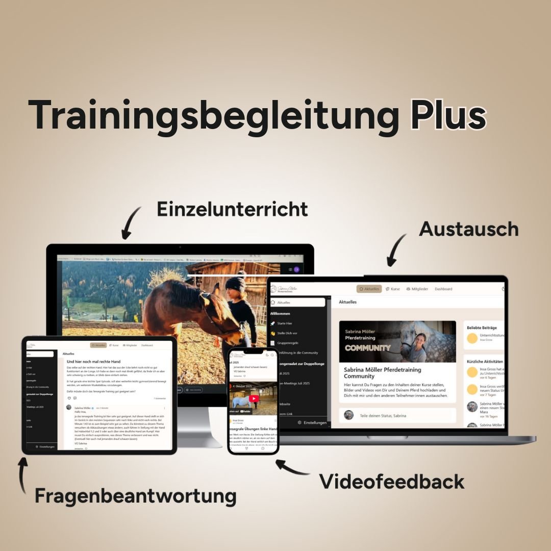 Trainingsbegleitung Plus