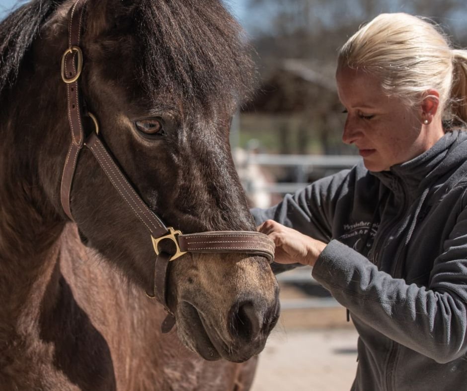 Daniela Mahr Gastdozentin Trainerausbildung Doppellonge
