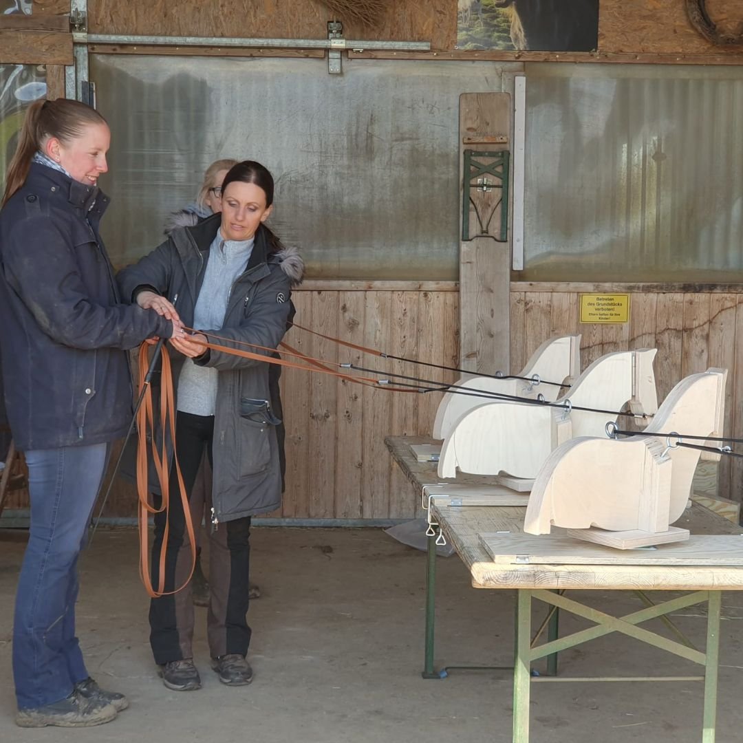 Live-Module Trainerausbildung Doppellonge