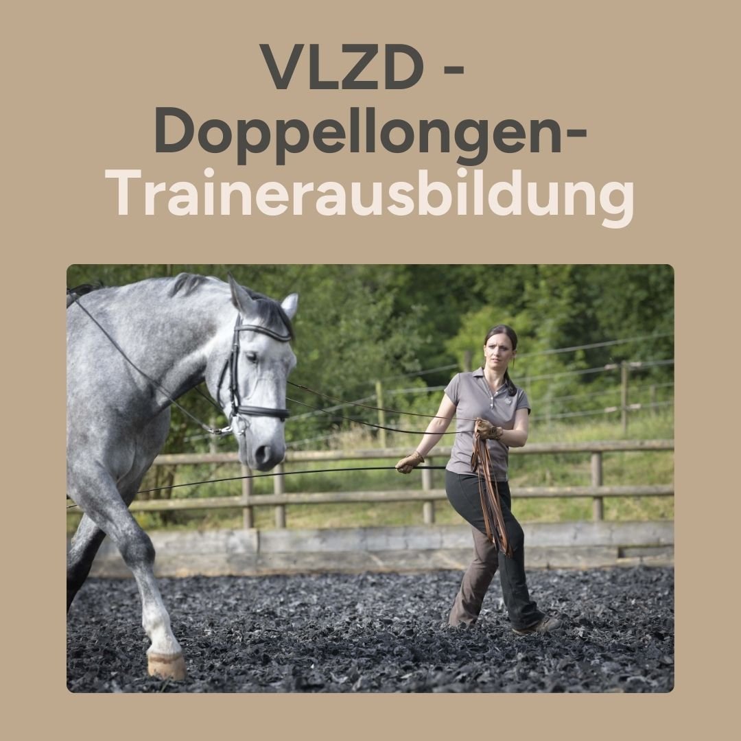 VLZD Doppellongen-Trainerausbildung